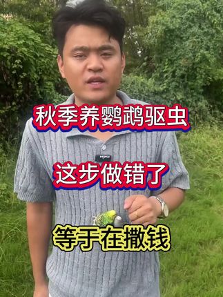 养鹦鹉驱虫这步做错了等于在撒钱#养鹦鹉 #鹦鹉鹦鹉萌萌哒逗鹦鹉 #鹦鹉日常 #鹦鹉小白 #手养鹦鹉