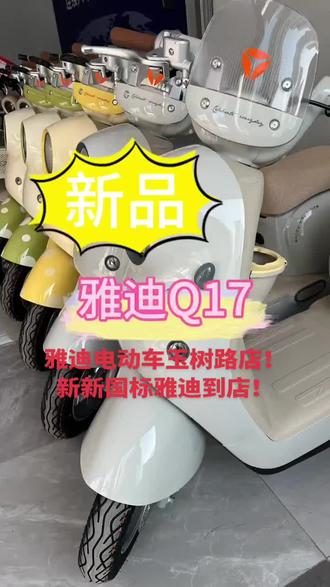 雅迪电动车毛豆到店!雅迪电动车玉树路店(玉树路1569号)