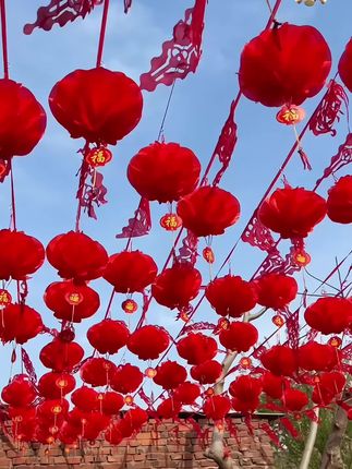 #小红灯笼 #小红灯笼挂件 #喜庆小红灯笼 #喜庆红灯笼 #红灯笼 小灯笼挂饰新年结婚用品大红灯笼开业春节装饰防水纸灯笼防雨防晒