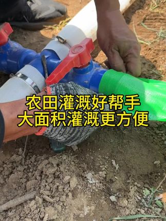 双翼压边微喷带,遇风不打滚不侧翻,出水量大,喷幅远#果园种植#微喷带#种玉米 #节水灌溉