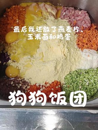蛋黄的狗🐶饭#自制狗粮 #自制狗狗食物 #狗饭爱好者 #手工狗饭