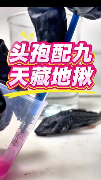 粉丝让我测试天地同寿配套头孢配8+1哈哈
#创作灵感 #清道夫 #清道夫奇葩试验 #清道夫消灭计划 #外来入侵物种