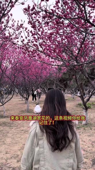 来高新区凤凰湖赏完樱花后,不要错过的一家店!#泰安凤凰湖公园 #泰安五矿 #泰安美食天花板