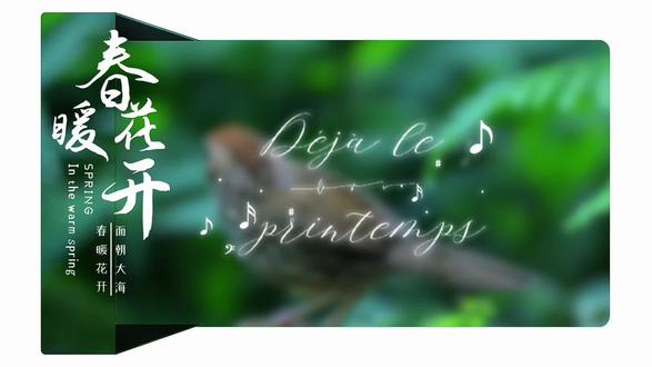 今天学习立体蒙版滑动效果#剪映专业版 #新手剪辑 #短视频干货 #晶晶爱剪辑 #蒙版