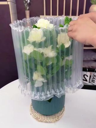 #栀子花 浓香栀子花带花苞 花期长200多天~香气清新怡人~养一盆在卧室不仅可以净化空气 ~还能有助睡眠 ~养一盆满屋飘香#栀子花盆栽 #栀子花开香气扑鼻 #好看的花一定要分享给你 #爱生活爱养花