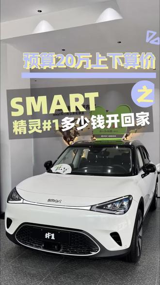 20万上下预算,帮妹妹看车算价去!第一站#smart精灵1号 #陪买车 #买车那点事儿 #新手买车 #第一辆车怎么选