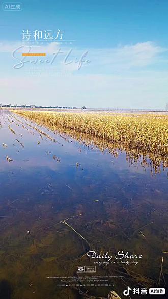 渭南市华州区北拾村观看天鹅