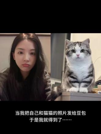 好有爱好喜欢,和猫咪相拥合照ai指令教程来啦!#豆包#豆包ai #豆包P图已经nextlevel了 #和宠物合照#和宠物合照指令和猫咪合照 和自家萌宠