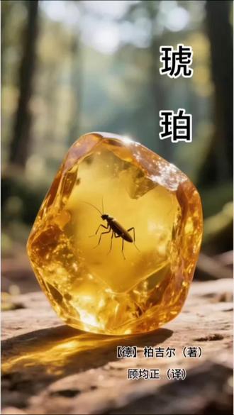 四年级下册语文第五课《琥珀》#学习#语文#四年级#热门#知识分享