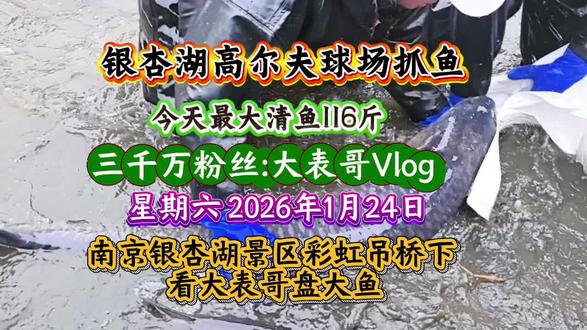 三千万粉丝@大表哥Vlog 21号贵州青酒厂溯源专场
星期六2026年1月24日在#南京银杏湖乐园 彩虹吊桥下 一起看大表哥盘大鱼!
来源@南京银杏湖 @南京有个银杏湖
#布兰顿童大叔#左右来往咖啡#南京 #抓鱼 #值得记录的小日子 @黎大厨子 @亮哥观察 @墨邻阁阁主 @飞哥清水鱼 @文旅@酒店@民宿策划运营管理—王琦 @会长陪你住民宿