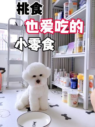 狗狗挑食也喜欢吃的小零食推荐#比熊#狗狗零食#狗狗火腿肠 #狗狗水晶肠