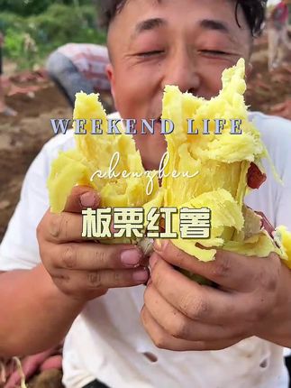 #优质农产品#早餐吃什么#粉糯香甜#板栗红薯