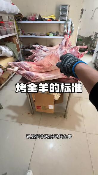啥样的羊才符合烤全羊的标准#小魏流动烤全羊 #烤全羊 #流动烤全羊 #虞城烤全羊