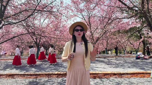 郴州家门口就有超美的樱花海,就在桂阳樱花园,这个春天,快@你想一起去的人~
#樱花季 #樱花 #春日限定浪漫#桂阳樱花园#春日赏花好去处