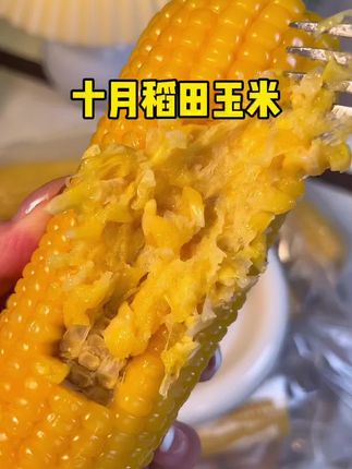 又香又糯好好吃,特别嫩几乎没有皮感觉,自律期早餐就啃它了#糯玉米 #黄糯玉米#太好吃了 #太好吃了