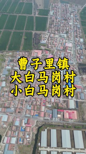 大白马岗村与小白马岗村位于天津市武清区曹子里镇东部。大白马岗村约有160户、600人,小白马岗村约有130户、400人。
一、历史渊源
两村历史可追溯至辽代,当时萧太后运粮河途经此地。有白姓大户在此建立村落,因村子地处港湾码头,便被称作白家港码头,后简称为白马港。到了元代,部分村民从白马港迁出,在村西高地另立新村落。随着人口繁衍和村落发展,逐渐分化出大白马港和小白马港,也就是如今的大白马岗村和小白马岗村。
二、帮扶发展
天津市开展的两轮次困难村结对帮扶工作中,第二轮帮扶将大白马岗村所在的曹子里镇多个村纳入帮扶范围。帮扶组协同市区镇帮扶办及相关部门,为大白马岗村等实施了一系列项目:完成“美丽乡村”建设、自来水改造、厕所革命、村党群服务中心建设;修建进村公路,提升乡村公路,拓宽改造进村路口桥梁;安装覆盖全村的安防监控设施以增强村级技防力量;协调资金购置树种提高绿化率;申请上级资金完善党群服务中心运行配套和村内基础设施建设,建成村级科普展馆等。
在壮大村集体经济方面,帮扶组与村“两委”成员反复研讨、深入考察调研,制定出大白马港村稻蟹立体养殖的“一村一策”产业项目方案,有效提高了村集体经营性收入,推动了村庄的发展。#大白马岗村##航拍最美家乡 #讲述农村故事 #家乡记忆