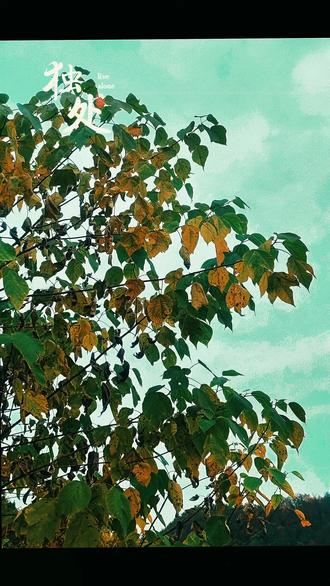 《静心赋》
--唐.王勃
悠悠天地,攘攘尘世,心躁者比比,而静心者稀稀。
夫静心者,能安于内而不为外扰。
处喧器而守其宁静,临纷扰而持其淡泊。视名利如浮云,蔑荣辱若清风。
于繁华中独辟宁静之隅,思无邪,念无杂,心归澄澈之境。可听风之细语,可观云之舒卷,可悟天地之妙理。
在困境时亦能平心静气,不焦不躁,以沉稳之态应对艰难。不乱于心,不困于情,不畏将来,不念过往。
静心以养德,德厚而性纯;静心以明智,智达而思敏。能敛浮华之态,去骄奢之气,得平和之韵。
观古今之贤达,皆以静心为基,修己达人。
以静制动,以柔克刚,从容于世间,行止有度,取舍有则。
愿世人皆能悟静心之要,觅心灵之宁静,享人生之安然,得灵魂之升华。
如此,则心宁而世和,意悠而情悦:实乃人生之大幸也。 #手机摄影 #随拍 #意境 #修行