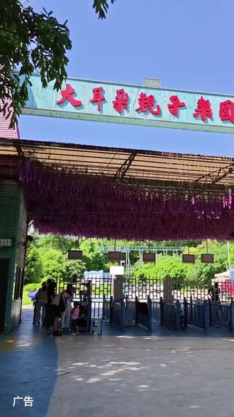 母亲节专属福利来啦!5月10日锁定大耳朵亲子乐园,所有母亲入园免费游玩,感恩母爱倾情献礼。园区重磅新增两大网红游玩项目,惊险刺激玻璃水滑、高空趣味步步惊心全新上线!带上妈妈和宝贝一起来打卡,沉浸式玩转乐园,享受温馨又欢乐的亲子时光。#大耳朵亲子乐园 #母亲节 #亲子游玩好去处 #儿童乐园 #母亲节快乐