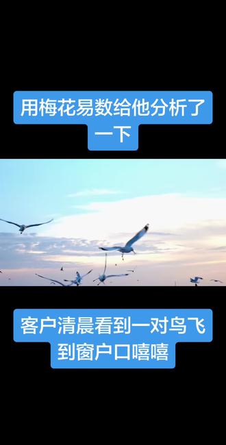 梅花易数分析清晨客户看到一对鸟飞到自己窗户口嘻嘻 客户清晨醒来看到一对鸟飞到自己窗口嘻嘻,疑似一公一母,然后客户来窗后几秒钟鸟飞走了,用梅花易数帮客户分析,大家可以参考听完#梅花易数 #梅花易数故事 #520心动卡点挑战
