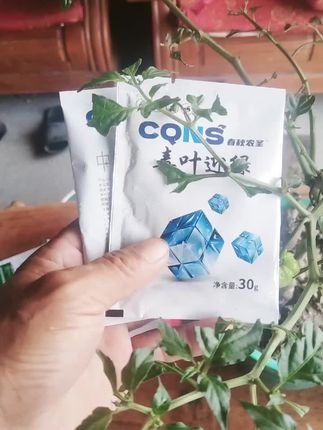 辣椒小叶卷叶用这种得啦#毒叶迎绿#辣椒小叶卷叶花叶
