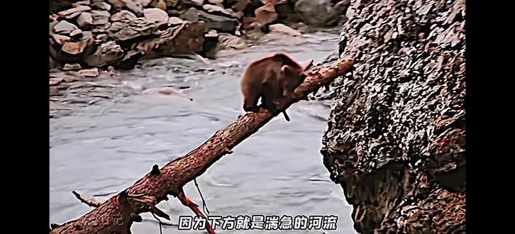 你的魔王护已到达#魔王护 #三角洲行动 #极限反杀 #纪录片 #热门