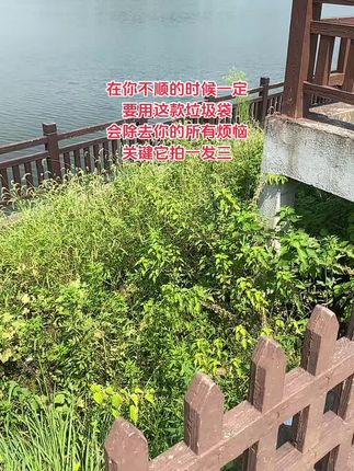 #除秽垃圾袋 #家庭必备 #丢掉烦恼