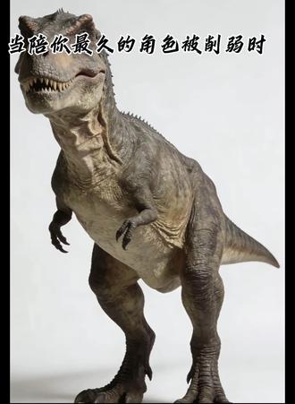 尽吾志而不能至者,可以无悔矣#王者 #火影忍者 #原神 #鸣潮 #和平精英 素材借鉴@曜