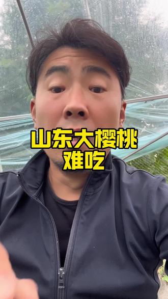 你们吃的山东大樱桃怎么样评论区告诉我 #山东助农 #山东到底有多好吃 #山东大樱桃