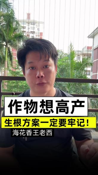 根系差、长势弱、产量上不去?一套实用生根施肥方案分享给你 #生活服务热点中心 #乡村生活记录
