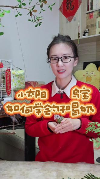 给打奶转勺子的小太阳喂奶,希望本条视频对您有帮助。#鹦鹉#手养鹦鹉#小太阳鹦鹉#合法饲养鹦鹉 #鹦鹉日常