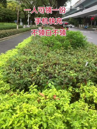 快薅啊!#快充数据线 #快充 #好物分享 #爆款热卖中