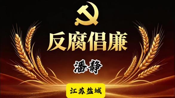 江苏盐城|潘静#社会百态 #民生关注 #我的观影报告 #反腐倡廉 #江苏盐城