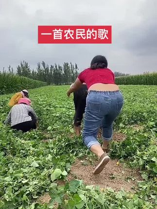 #一份耕耘一份收获 #这就是农村人 #农民不易 #粒粒皆辛苦 #抖音记录农村生活