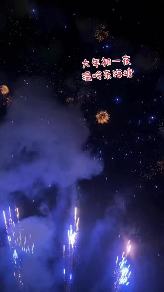 年初一的东海塘,似旧人山人海放烟花🎆