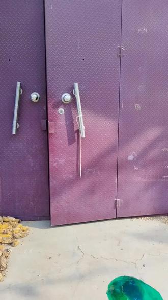 #我的乡村生活 ,家里的芹菜吃不完,给姑姑送点#农村趣事