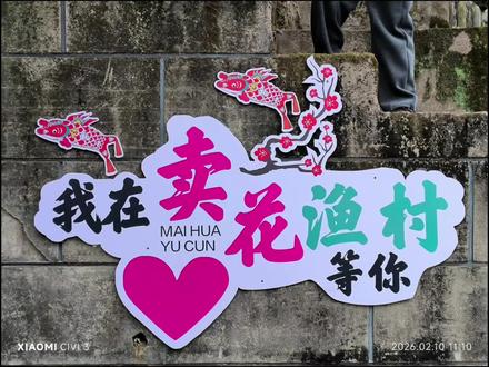 卖花渔村,漫山遍野的梅花等你来!