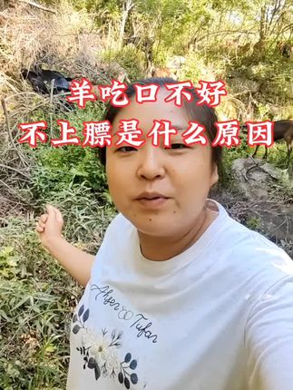 羊吃口不好也不上膘是什么原因引起的#农村养羊#养羊技术#养羊人@DOU+小助手