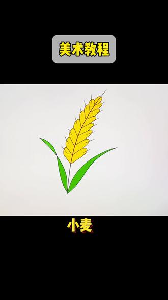 #跟我一起学画画 简笔画“小麦”