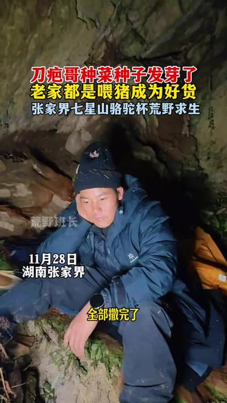 刀疤哥种菜发芽啦,老家里猪都不吃