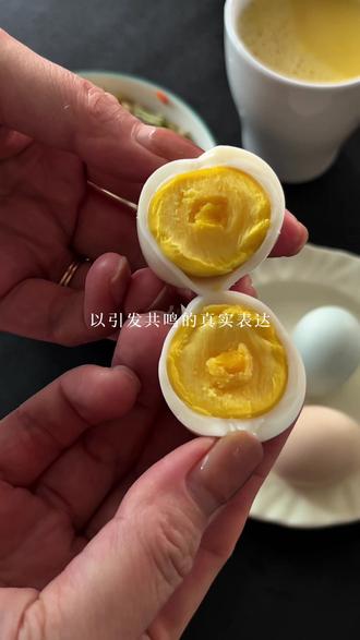 别再研究算法了,那个一周涨粉300万的博主告诉你:真诚才是唯一的捷径!#记录我的生活 #分享日常生活 #原创视频 #抖音创作者激励计划 #蛋神