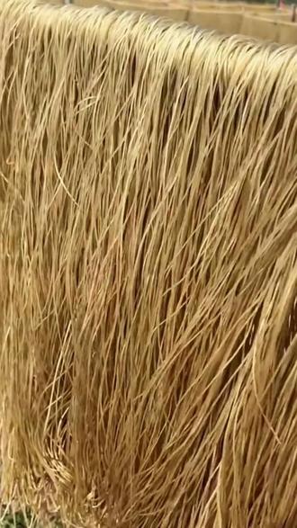 大家觉得师傅说的对吗?现在市面粉条以假乱真的太多了,其实大家算下成本就知道了#假粉条 #鉴别真假粉条#真粉条 #红薯粉条