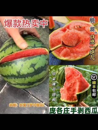 庞各庄袖珍小西瓜小糖丸西瓜单果2斤起脆沙甜薄皮新鲜水果自然#强烈推荐 #口感特别好 #新鲜西瓜 #新鲜采摘 #厂家直发品质保证