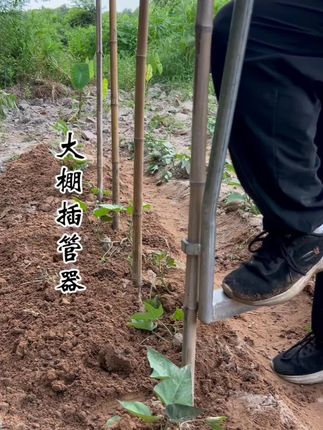 大棚插管器 #助力三农