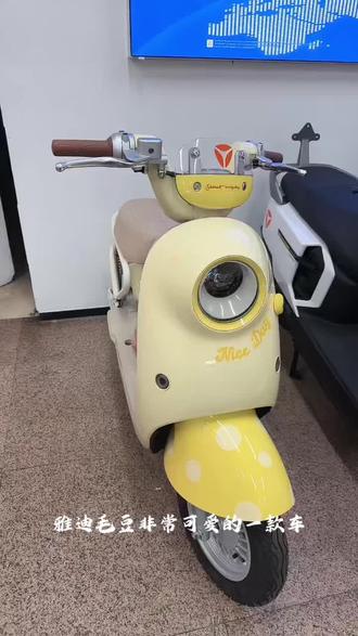 #雅迪 雅迪毛豆介绍讲解