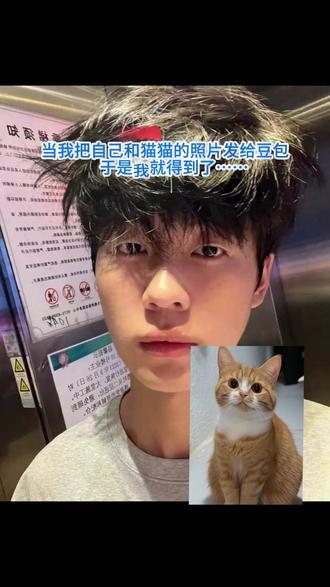 世间不能没有小猫咪,我和猫猫合拍ai指令教程来啦#梨花猫#豆包ai#拍照#萌宠#热门