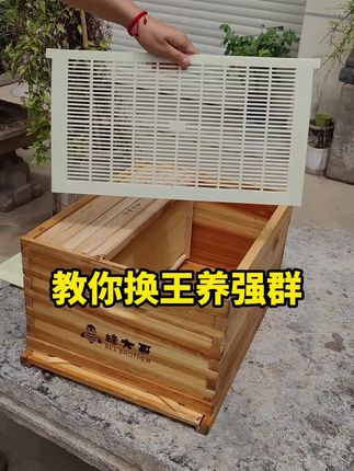 可裁剪立式隔王板中蜂专用蜂王隔王框双王蜂箱隔板养蜂工具隔王栅#可裁剪立式隔王板#中蜂专用#蜂王隔王框#双王蜂箱隔板#养蜂工具
