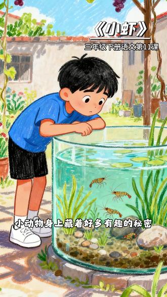 《小虾》三年级下册语文第11课