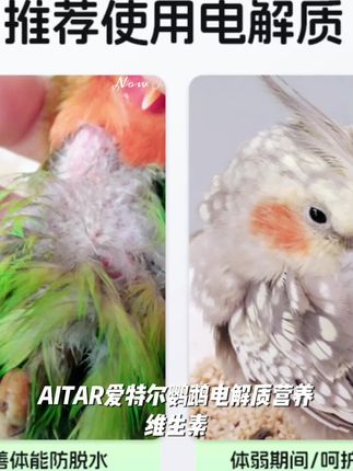 AITAR爱特尔鹦鹉电解质营养维生素缓解抗应激鸟类通用#最大能填几 #我的微景观 #数学广角找次品 #待定系数法