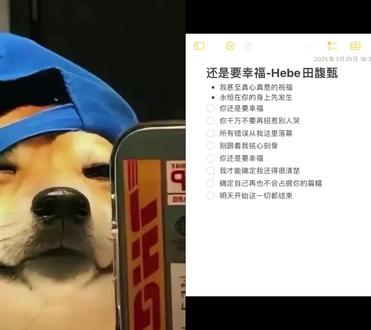 和 @小猫咪没有烦恼 一起 #合拍 #田馥甄