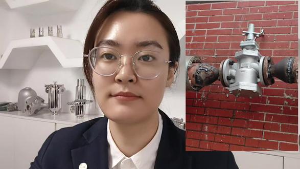 减压阀选型和安装过程中要注意的问题都有哪些?欢迎大家一起进行交流#减压阀 #阀门 #蒸汽 #节能#厂家 #中国